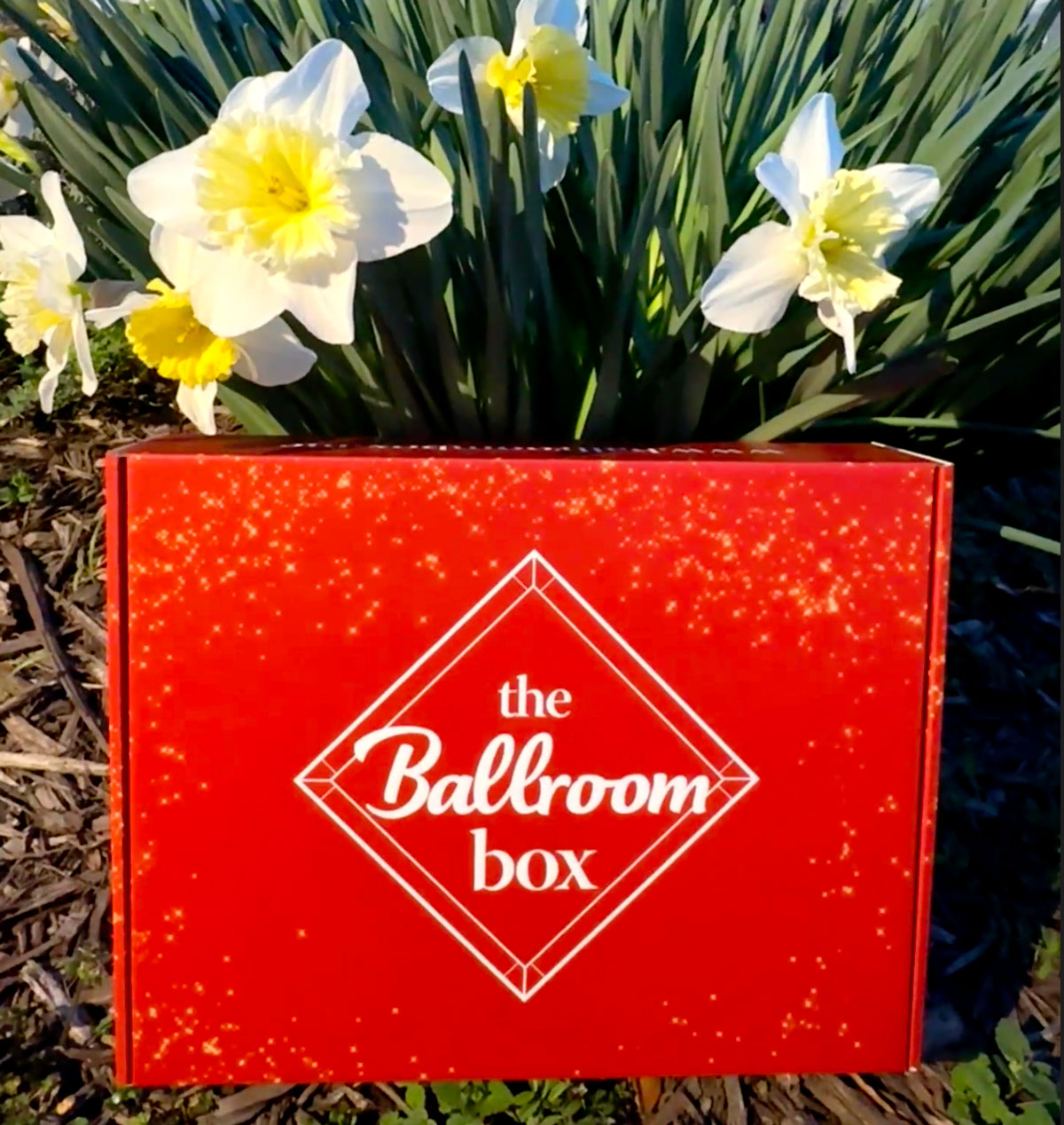 Spring Box